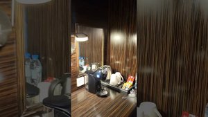 Hotel Dubai. Holiday Inn express Safa Park.