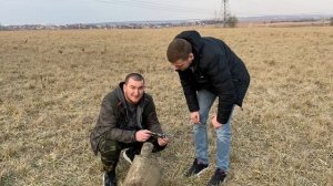 ГЛУШИТЕЛЬ ПРОТИВ ПЕТАРД + РАКЕТА С ДЫМОМ!