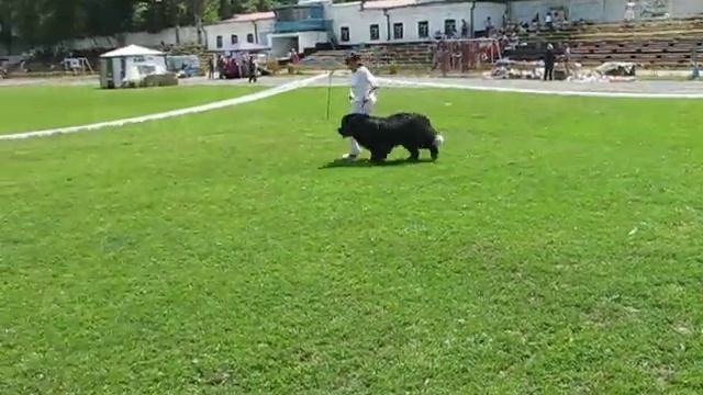 Кремень 2007 смотреть онлайн