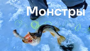 Жерлицы по первому льду,12 щук и 2 фарели.