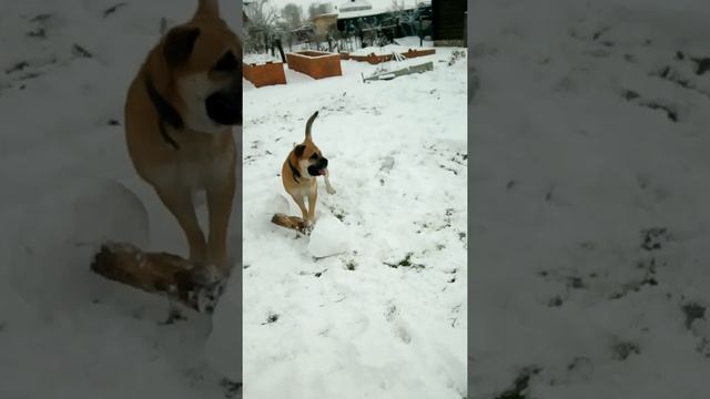 КАДЕБО смотреть онлайн