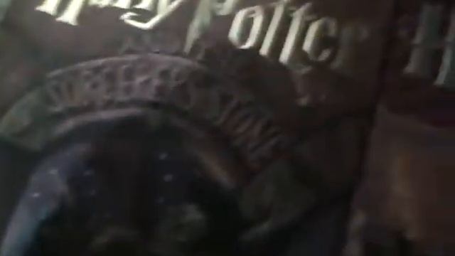 my harry potter collection