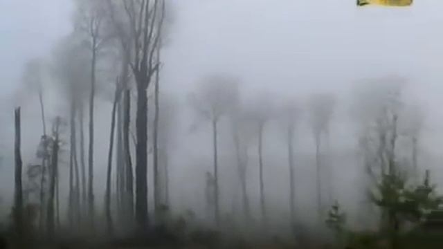 Ни пуха, ни пера! Охота на глухаря на току. смотреть онлайн