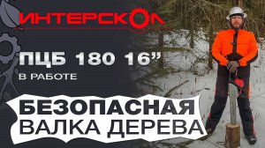 Безопасная валка дерева с помощью бензопилы Интерскол ПЦБ 180 16"