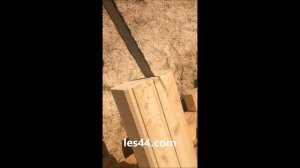 Запил Ласточкин хвост