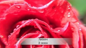ЛИХАЧ 2 сезон 1 серия дата выхода и анонс. Русский сериал. (Сериалы 2021)