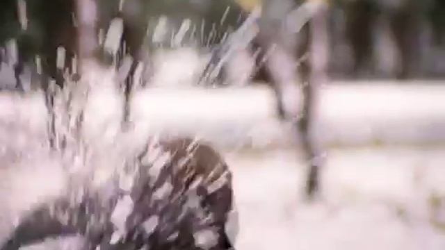 Алиса Фрейндлих - У природы нет плохой погоды смотреть онлайн