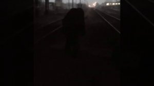 Держи, держи вора, поймать его пора. ВиллиТокарев.Черкассы