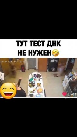 жиза