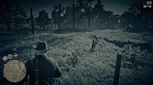 Red Dead online objetivo diarios localización de TEJÓN AMERICANO Y como cazarlo