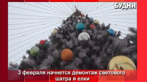 С 3 февраля в Белогорске начнется демонтаж новогодней ели