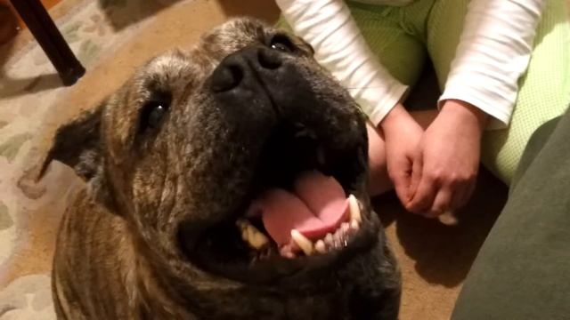 Говорящий ка де бо