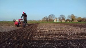 Боронование огорода мотоблоком мтз 🚜