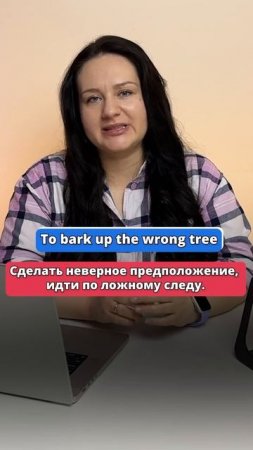 To bark UP the WRONG tree - переведешь? #english #английский