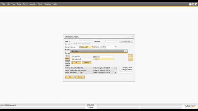 SAP Business One - New Company Creation for Bigginers