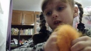 питомец с волосами и сквиш асминног