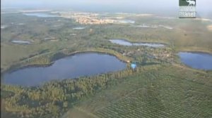 Йоркширский терьер.