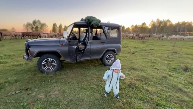 Работа на хозяйстве кипит | Делаем всё для удобства Башкирским лошадям