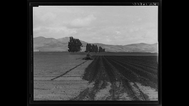 Italian American Folk Music (CA): A facci di San Paolo! = Darn it! смотреть онлайн