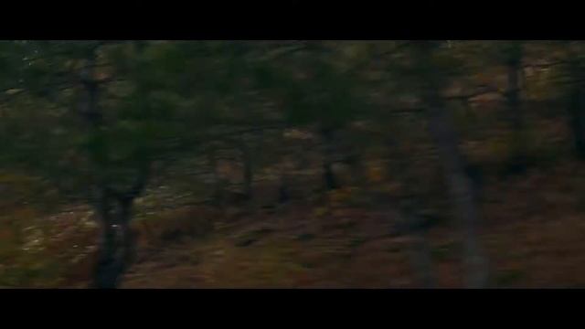 Путешествие Jaguar LandRover 2017 instagram ролик смотреть онлайн