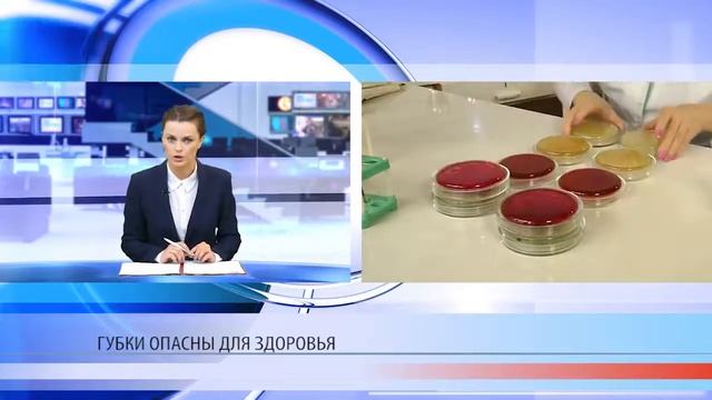 Моющие губки вредят здоровью. Цифры и факты смотреть онлайн