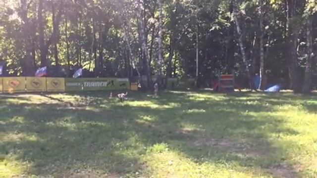 Высыл вперед, мондиоринг-1 смотреть онлайн