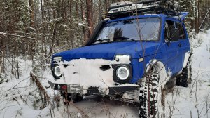 ТАЕЖНАЯ ЖИЗНЬ В ПАЛАТКЕ/КАПКАНЫ/НЕ ЗАМЕТИЛИ ХАРИУСА.