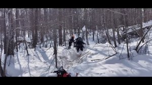 Сделали осмотр леса и заодно покатались на снегоходах | Деревенские будни 2024