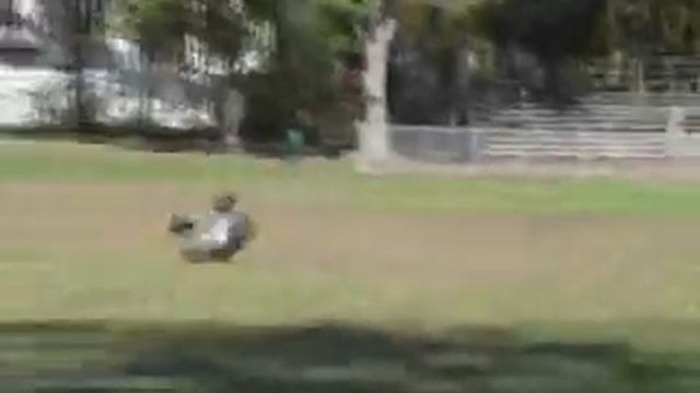 Re-Run Static смотреть онлайн