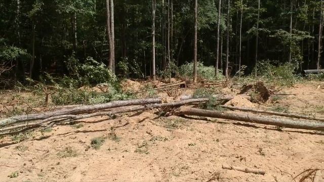 RCI Construction Group - Clearing land and using a Forestry Mulcher (Day 3)