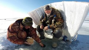 Лещ и карась берет высоко над столом .  Зимний Маныч от Юрия Философа