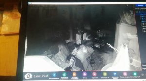 Hiseeu видеонаблюдения и программа для нее.