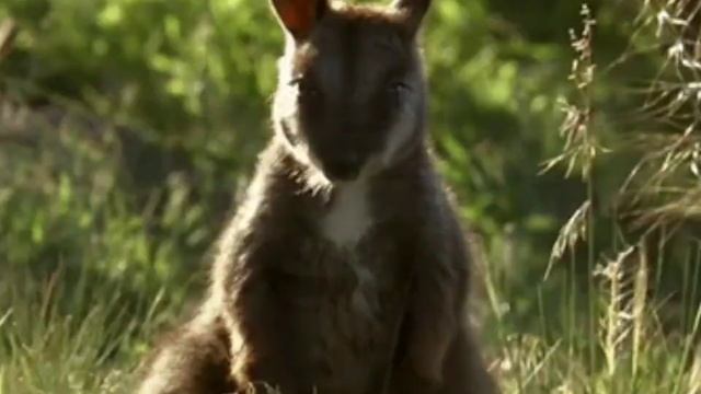 монтаж видео смотреть онлайн