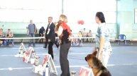 лхаса апсо DEST of BEST