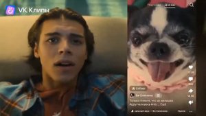 Реальная реклама VK клипы