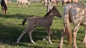 Готовимся к 9 Мая / Установили в нашем родном селе Улу-Теляк бюст Шаймуратову Минигали Мингазовичу
