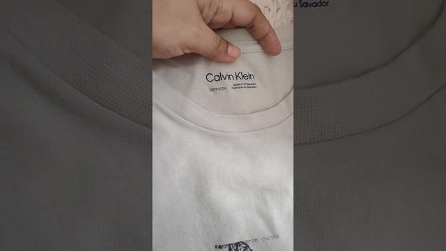 Tommy Hilfiger bag Calvin Klein Mac lipstick bath and body works mist budol finds смотреть онлайн