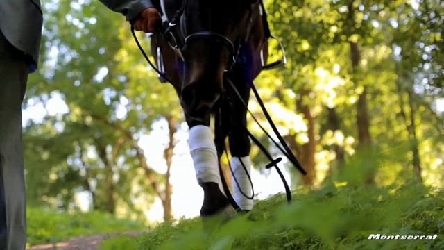 Никто кроме тебя! смотреть онлайн