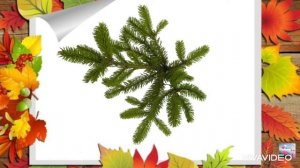 Игра «Деревья»