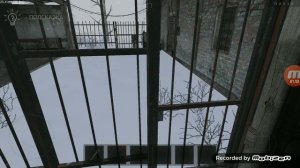 баг в метель посмотрел у топси