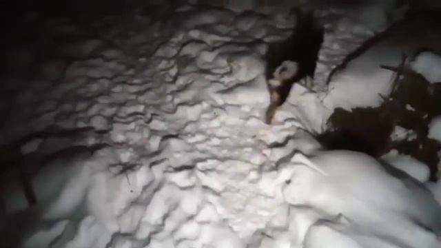 Железобетонная психика шалаек.САЛЮТЫ.https://vk.com/sha_layka смотреть онлайн