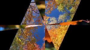 Захаров Владимир- Распустила осень косы.