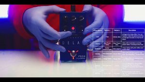 FLAMMA - Fs02 (delay) Fs03 (reverb) All 7 presets both pedals