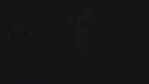 Деймон и Елена