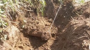 Едем с СЫНОМ за металлом на часок!!!