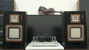 SONY APM-22ES & MACTONE 63M-markII