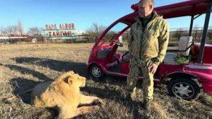 Только вчера этот лев КИДАЛСЯ и на нас и на львов, а сегодня он ластится как кот к Олегу Зубкову!