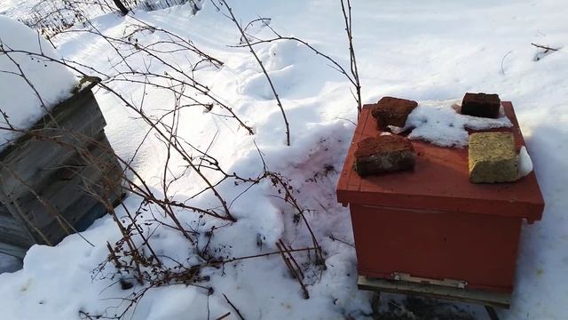 Потеря и вновь потеря!Гибель и облёт+2! смотреть онлайн