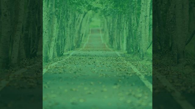 Атмосфера (Фоновая Музыка) смотреть онлайн