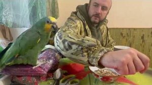 Я пытаюсь найти контакт с амазонами Яшей и Гошей, наладить отношения с какаду точно не получится)))